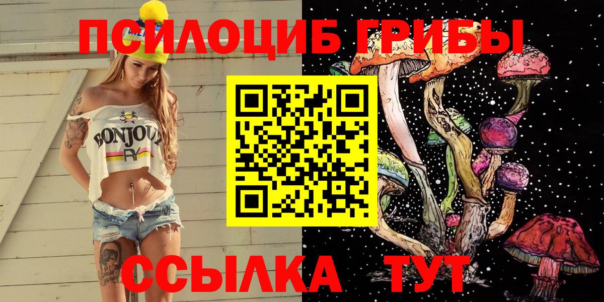 Псилоцибиновые грибы MAGIC MUSHROOMS  Вход с VPN  Ярославль 