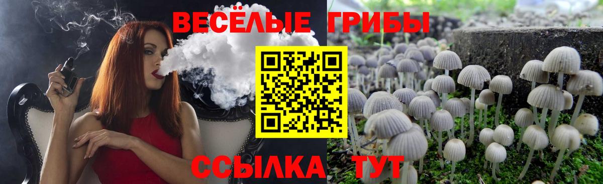 Псилоцибиновые грибы MAGIC MUSHROOMS Ярославль